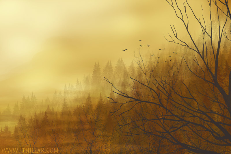 autumn2